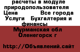 расчеты в модуле природопользователя › Цена ­ 3 000 - Все города Услуги » Бухгалтерия и финансы   . Мурманская обл.,Оленегорск г.